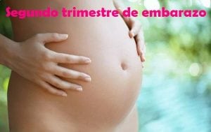 segundo trimestre de embarazo